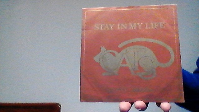 cats jukebox single stay in my life uit 1983, Ophalen of Verzenden, Zo goed als nieuw, Pop