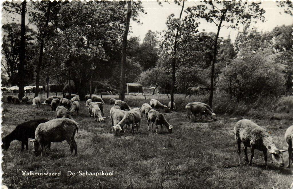 Valkenswaard - De Schaapskooi - 1963 gelopen, Verzamelen, Ophalen of Verzenden, 1960 tot 1980, Gelopen, Noord-Brabant