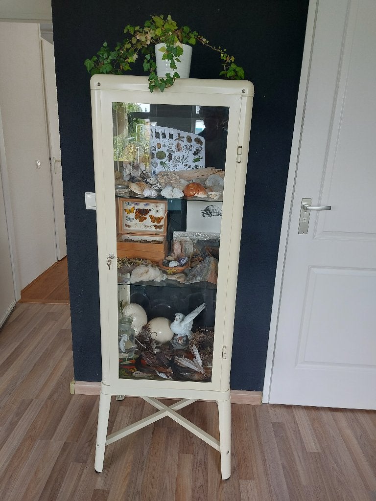 vitrinekastje ikea fabrikor, Huis en Inrichting, Kasten | Vitrinekasten, Ophalen, Met deur(en), Industrieel, vintage, 50 tot 100 cm