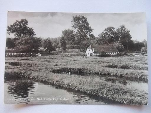 P234 Gulpen - Forellenkwekerij - 1956, Verzenden, 1940 tot 1960, Ongelopen, Limburg