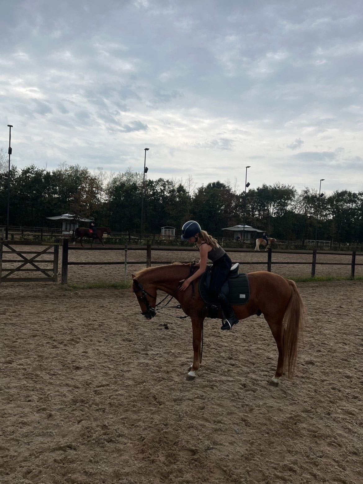 2 verzorgers aangeboden!!!!, Dieren en Toebehoren, Paarden en Pony's | Verzorgingsproducten, Ophalen of Verzenden, Zo goed als nieuw