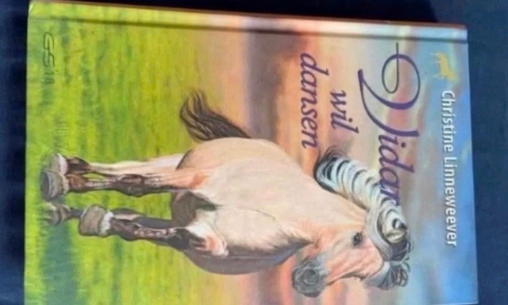 Boek: Vidar wil dansen, Ophalen, Nieuw, Christine Linneweever