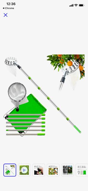 Naleo Fruitplukker met steel 240 cm - GEHEEL NIEUW, Ophalen of Verzenden, Nieuw, Overige soorten