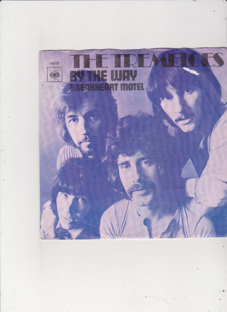 Single The Tremeloes - By the way, Ophalen of Verzenden, Gebruikt, 7 inch, Pop