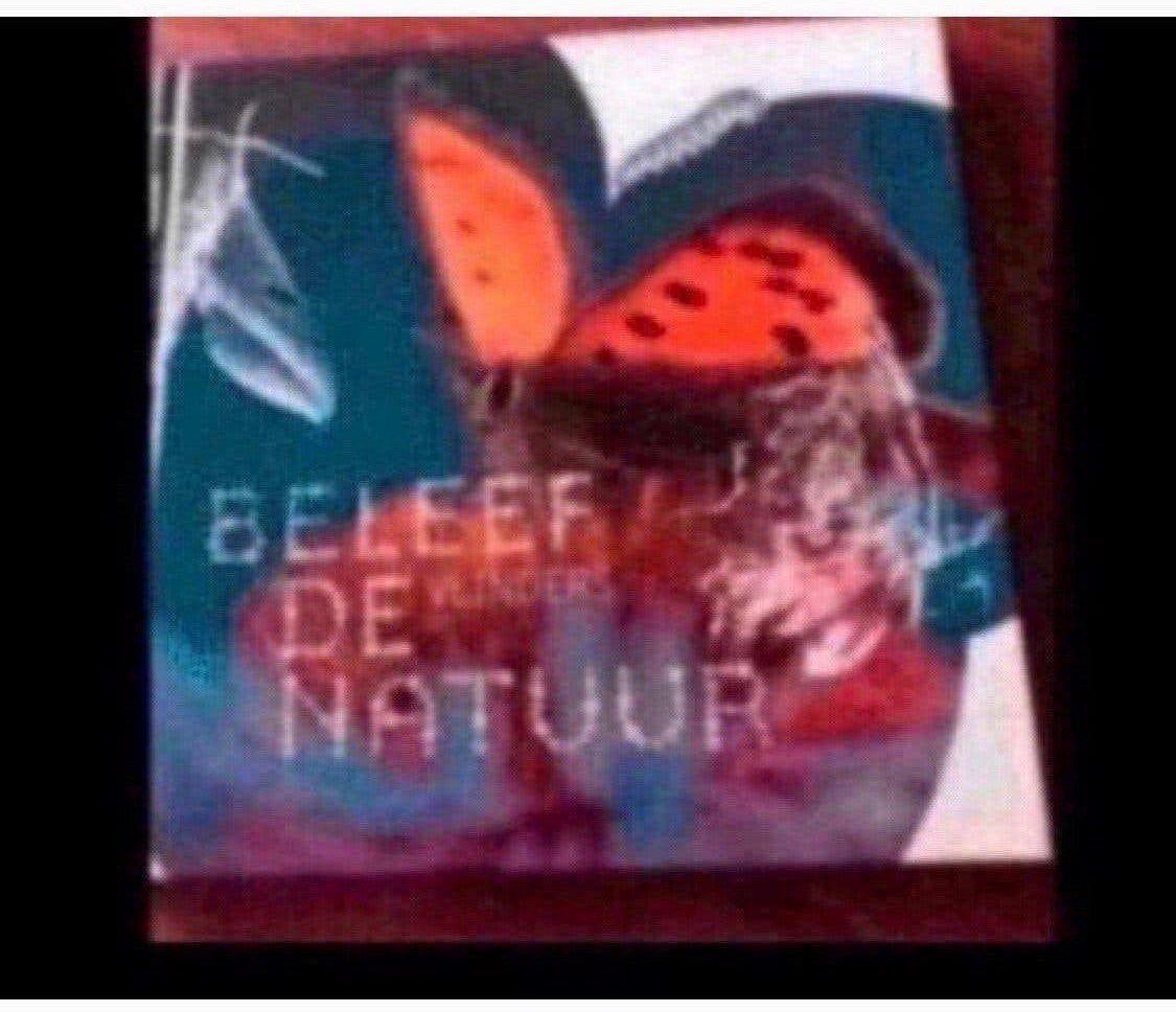 Beleef de vlinders natuur, Boeken, Ophalen, Gelezen, Natuur algemeen