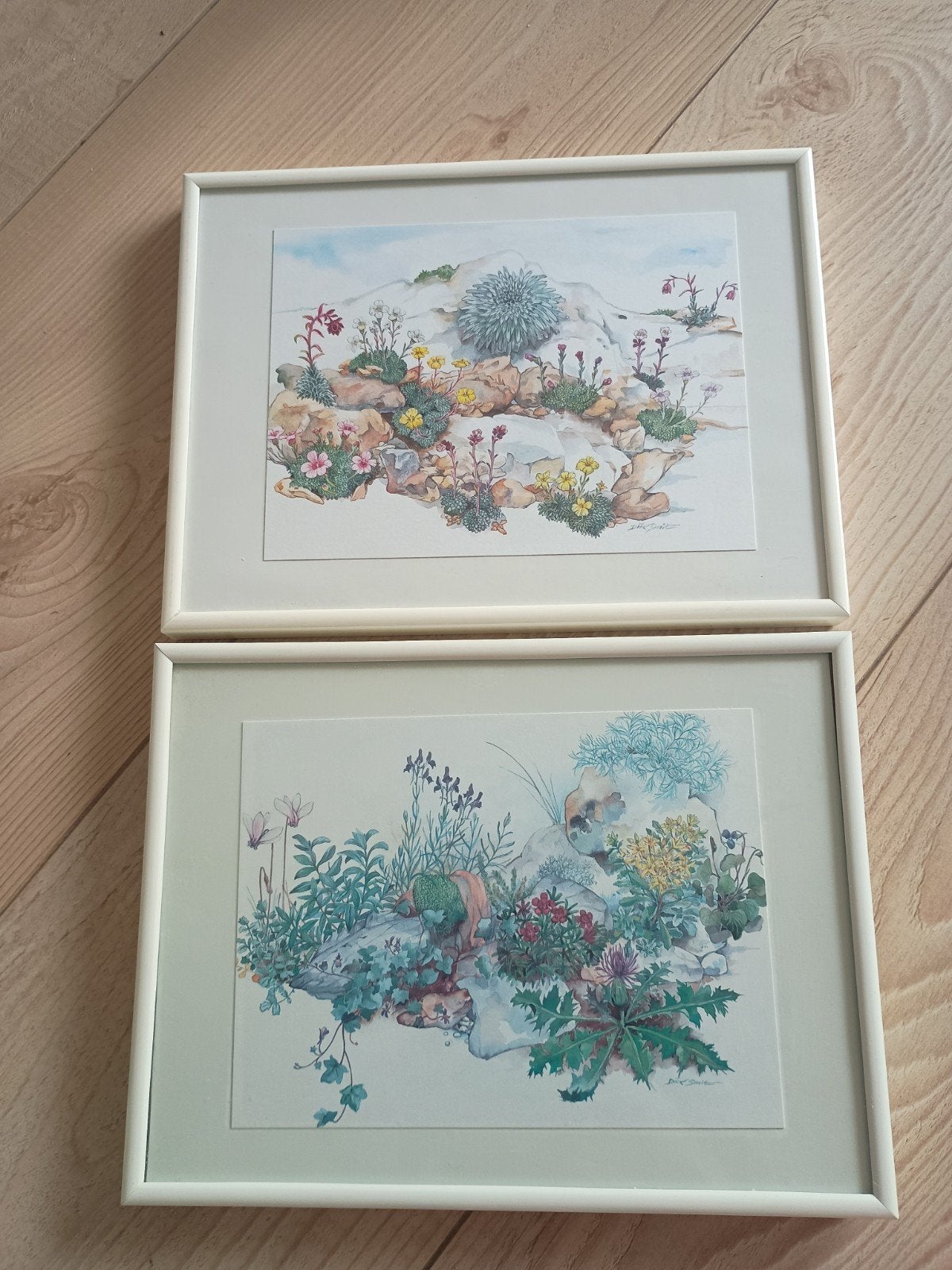 Originele aquarellen botanisch kunstenaar Dick Smit, Ophalen of Verzenden