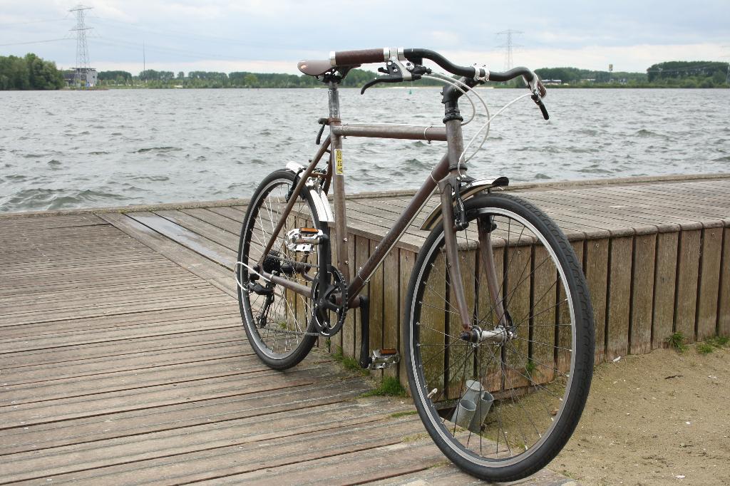 Citybike -bijzonder- Ratbike, Stadsfiets, Giant, Shimano, Fietsen en Brommers, Fietsen | Heren | Sportfietsen en Toerfietsen, Ophalen