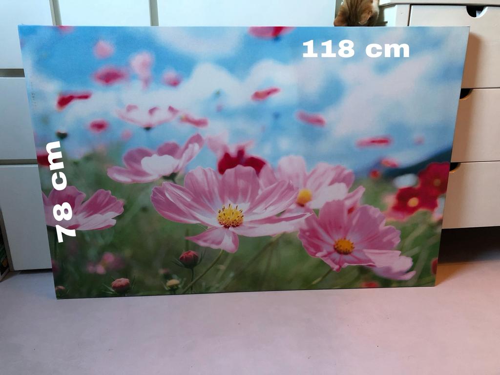 Ikea schilderij met roze bloemen, Ophalen