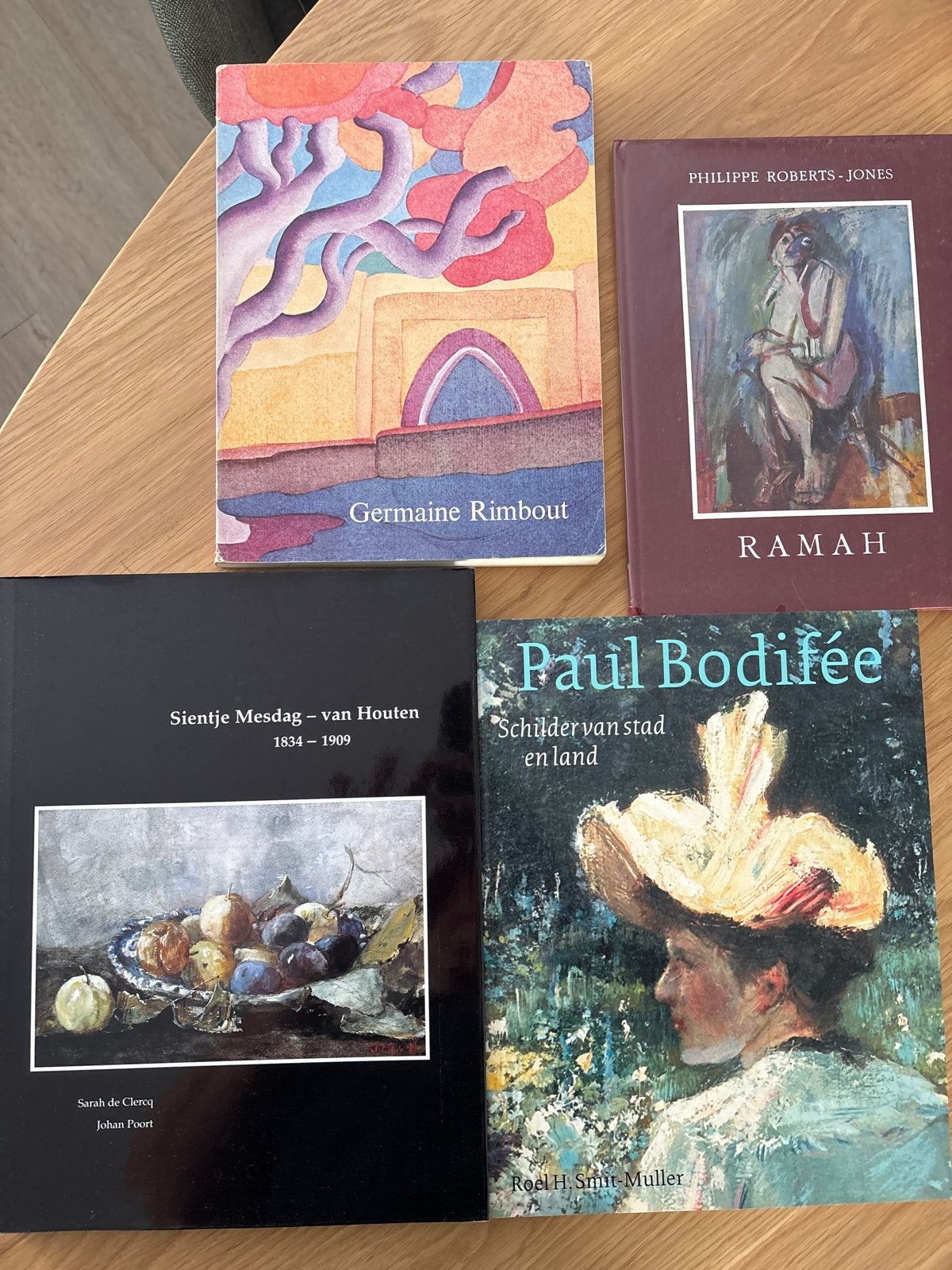 Kunstboeken: Germaine Rimbout, Ramah, Sientje Mesdag, Paul B, Ophalen of Verzenden, Gelezen, Schilder- en Tekenkunst