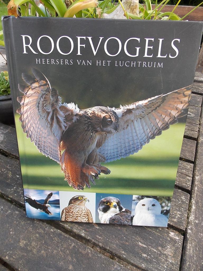 Roofvogels - heersers van het luchtruim - boek, Ophalen of Verzenden