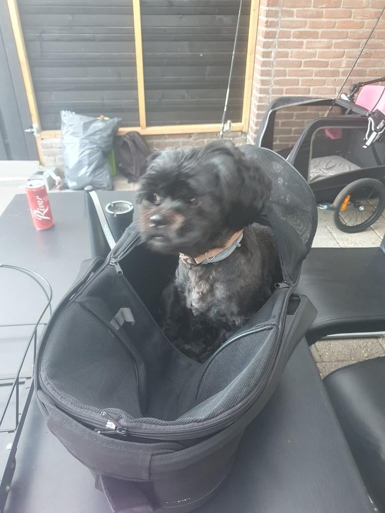 Hondenfiets mand, Ophalen
