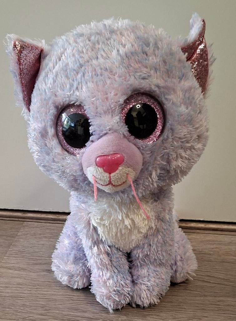 Ty beanie boo poes Casisdy 24 cm, Ophalen of Verzenden, Zo goed als nieuw