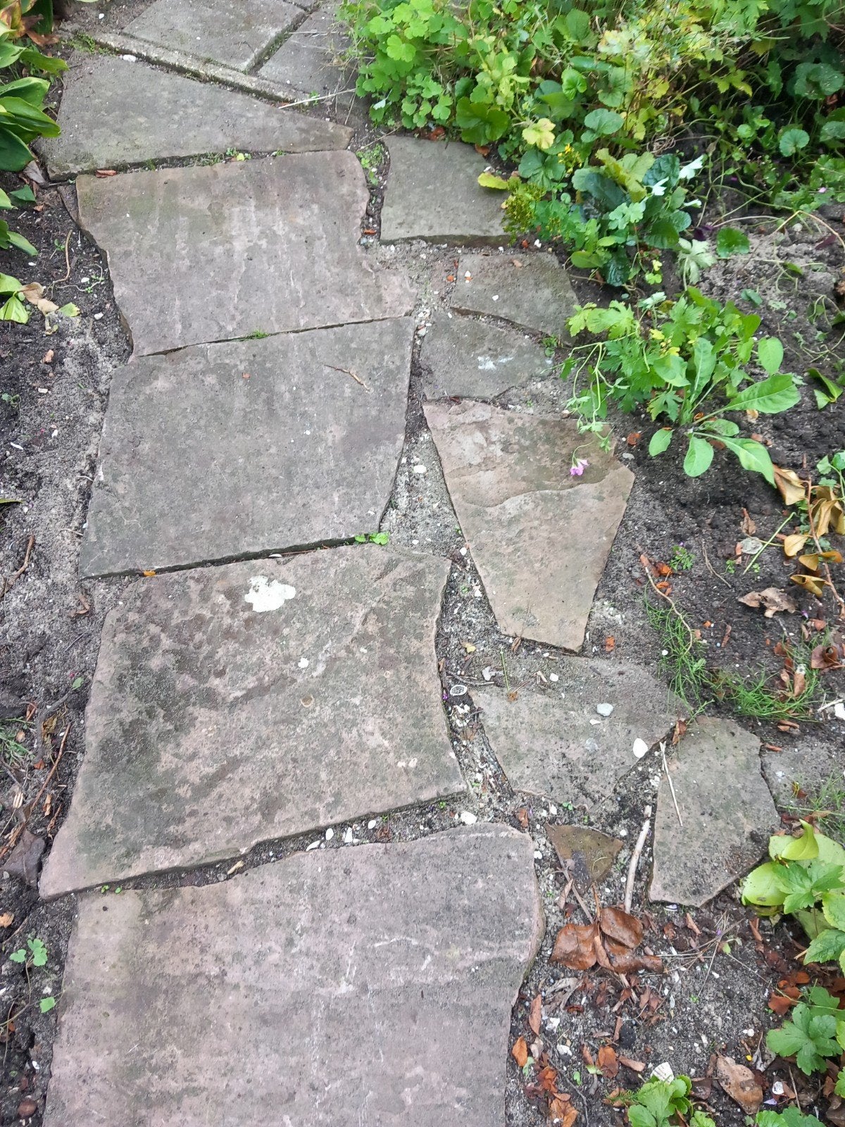 Gebruikte flagtsones terrastegels, Ophalen, Gebruikt, 5 tot 10 m², Natuursteen