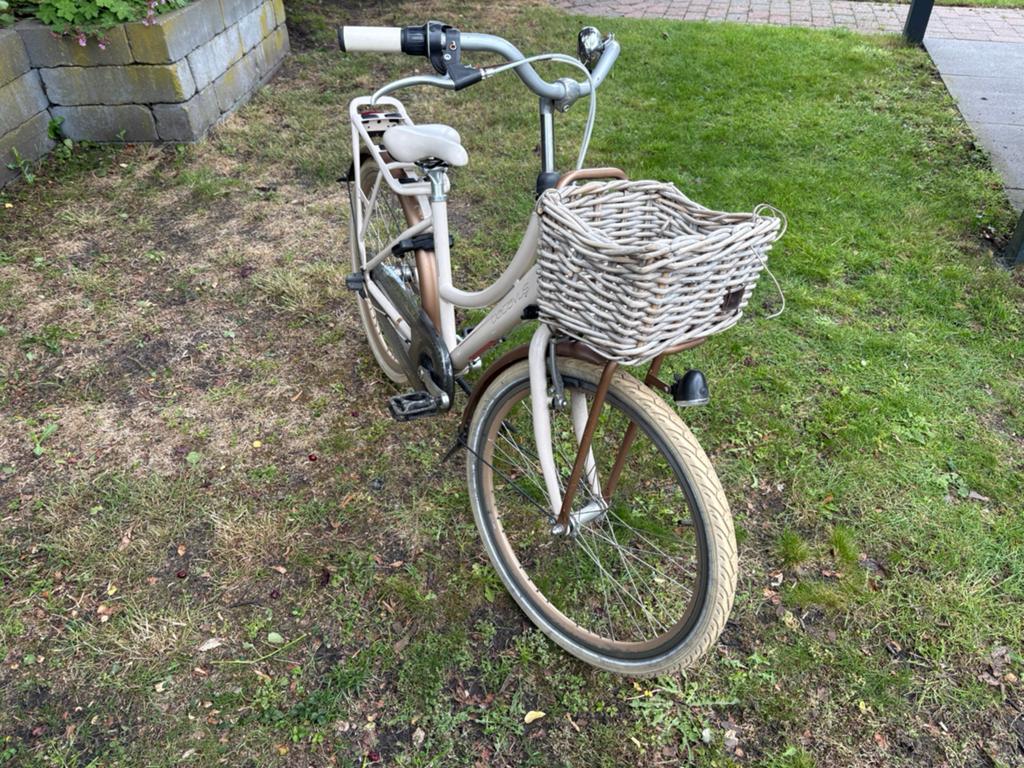 Batavus meisjesfiets, Ophalen, Zo goed als nieuw, 1 kind