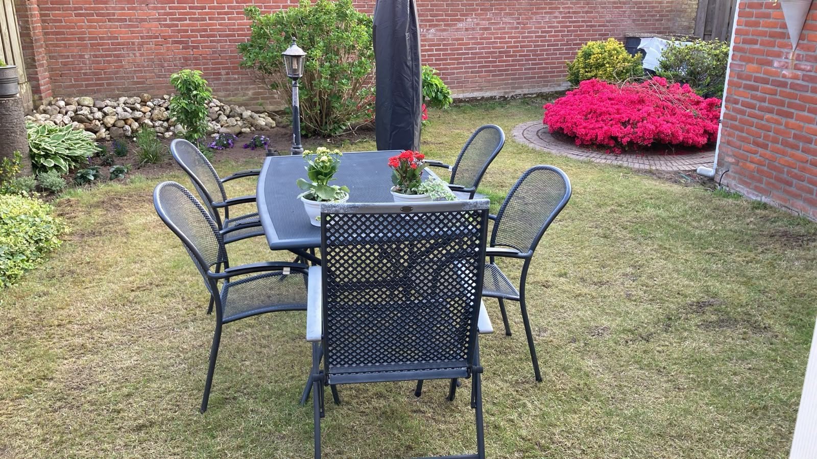 Tuinplanten azalea, hortensia en .?, Boeken, Wonen en Tuinieren, Zo goed als nieuw, Interieur en Design, Ophalen