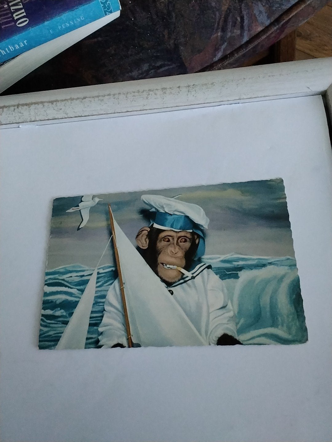 MATROOS. AAP. OP ZEE MET SIGARET 1959, Ophalen of Verzenden, 1940 tot 1960