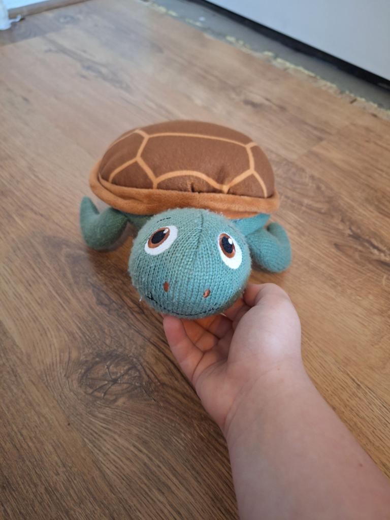 Leuke knuffels: schildpad, axolotl en konijn, Kinderen en Baby's, Speelgoed | Knuffels en Pluche, Overige merken, Overige karakters