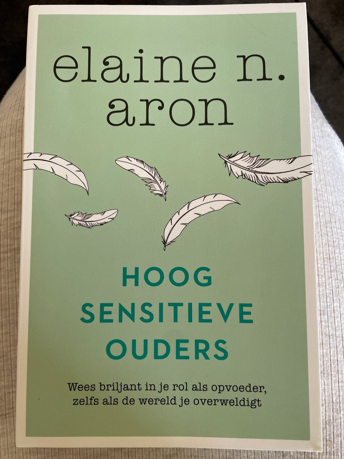Hoogsensitieve Ouders - Elaine N. Aron, Ophalen of Verzenden, Zo goed als nieuw, Opvoeding tot 6 jaar