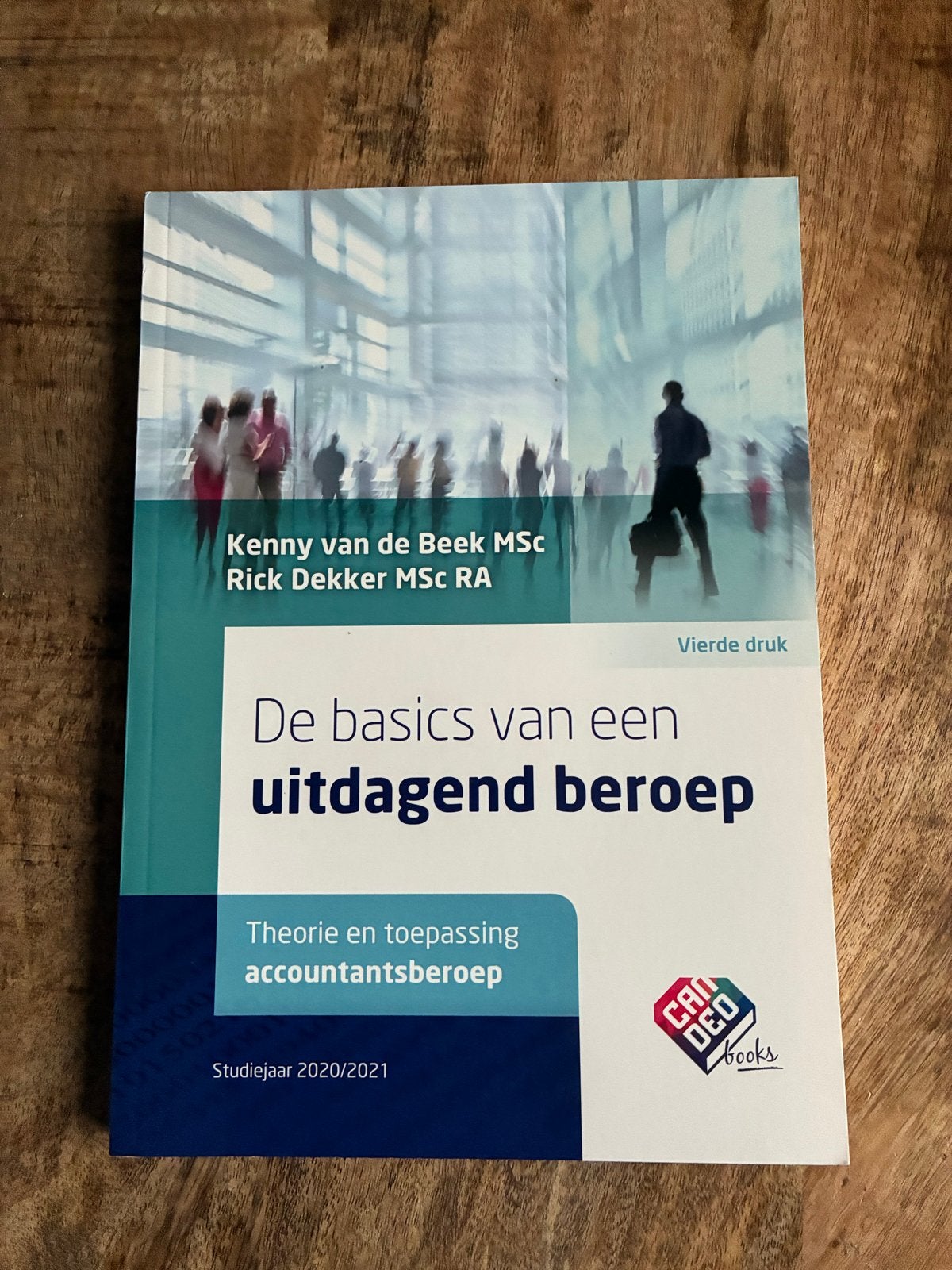 De basics van een uitdagend beroep - Accountantsberoep, Ophalen of Verzenden, Gamma, Zo goed als nieuw, HBO