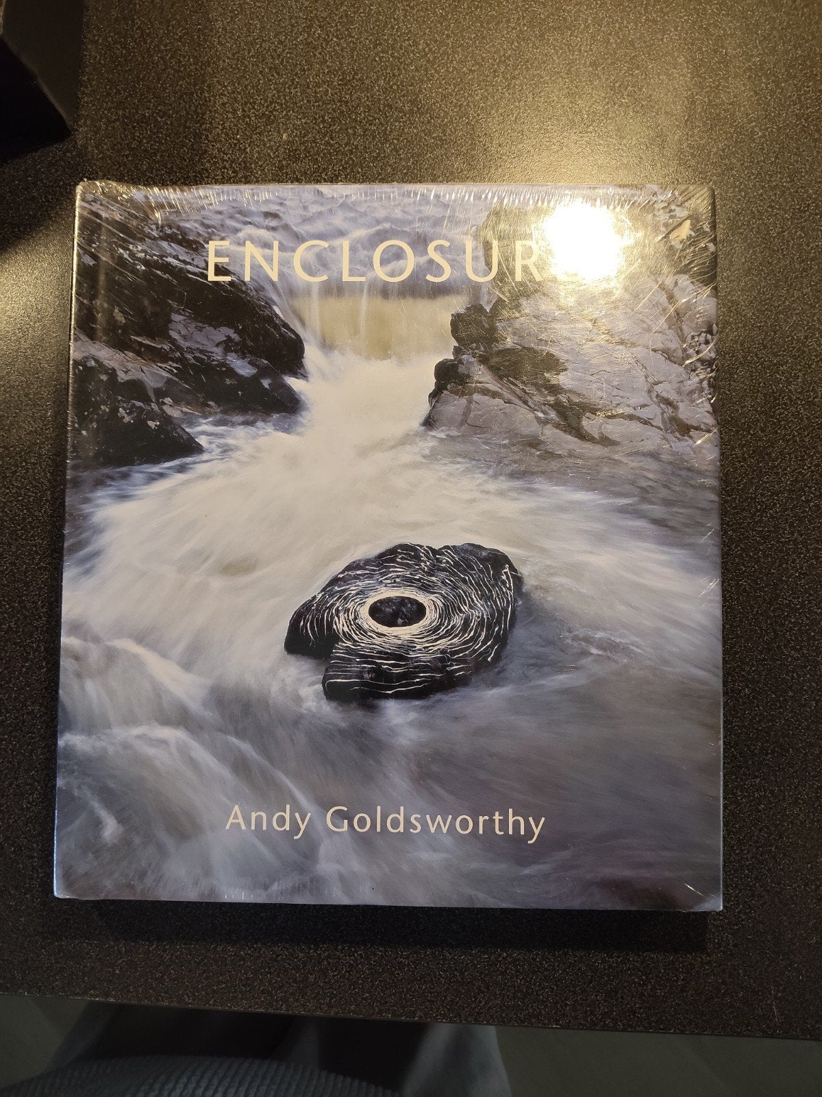 Enclosure - Andy Goldsworthy (Fotografie Boek), Ophalen of Verzenden, Nieuw, Fotografie algemeen, Andy Goldsworthy