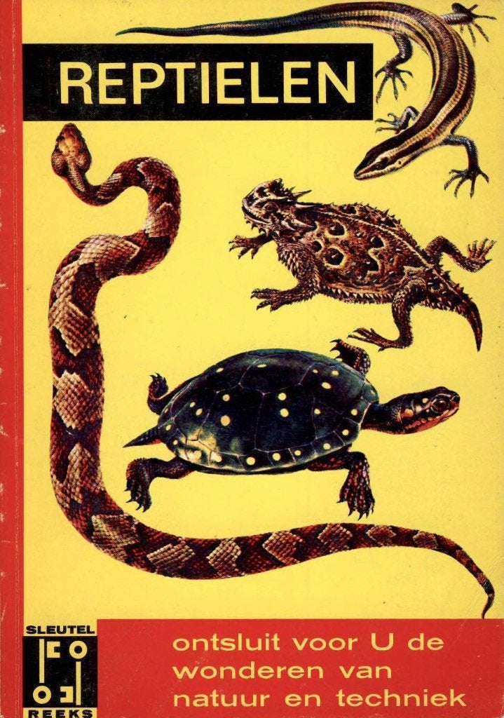 Reptielen - Sleutel Reeks, Boeken, Gelezen, George S. Fichter, Ophalen of Verzenden, Reptielen of Amfibieën