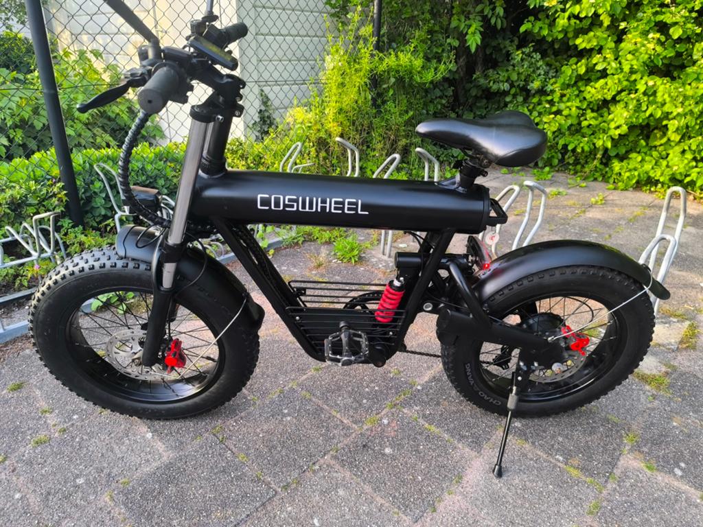 Electrishe fatbike. Sleutel met chip/oplader., 47 tot 51 cm, Ophalen, Overige merken