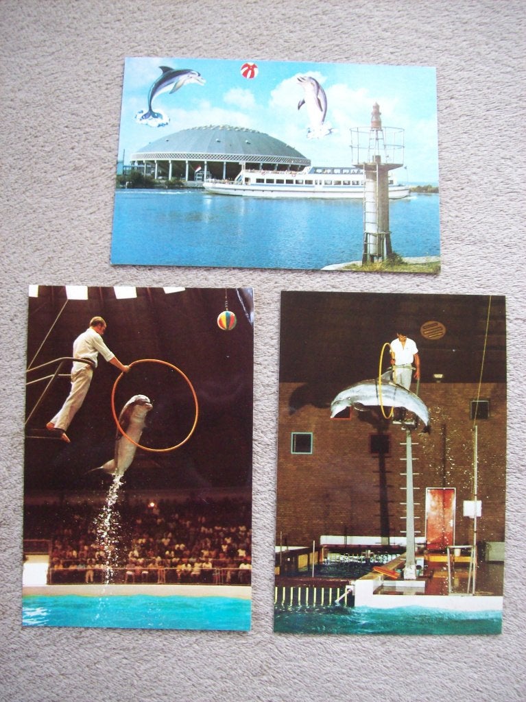 Ansichtkaart ansicht Dolfinarium Harderwijk 3x eind jaren 60, Verzamelen, Ansichtkaarten | Nederland, Ophalen of Verzenden, 1960 tot 1980