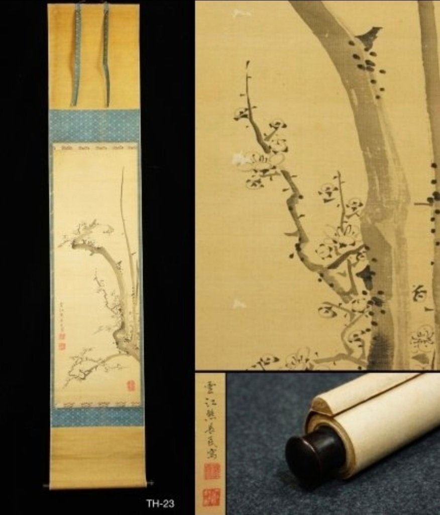 Japanse rol Kersenbloesem, Ophalen