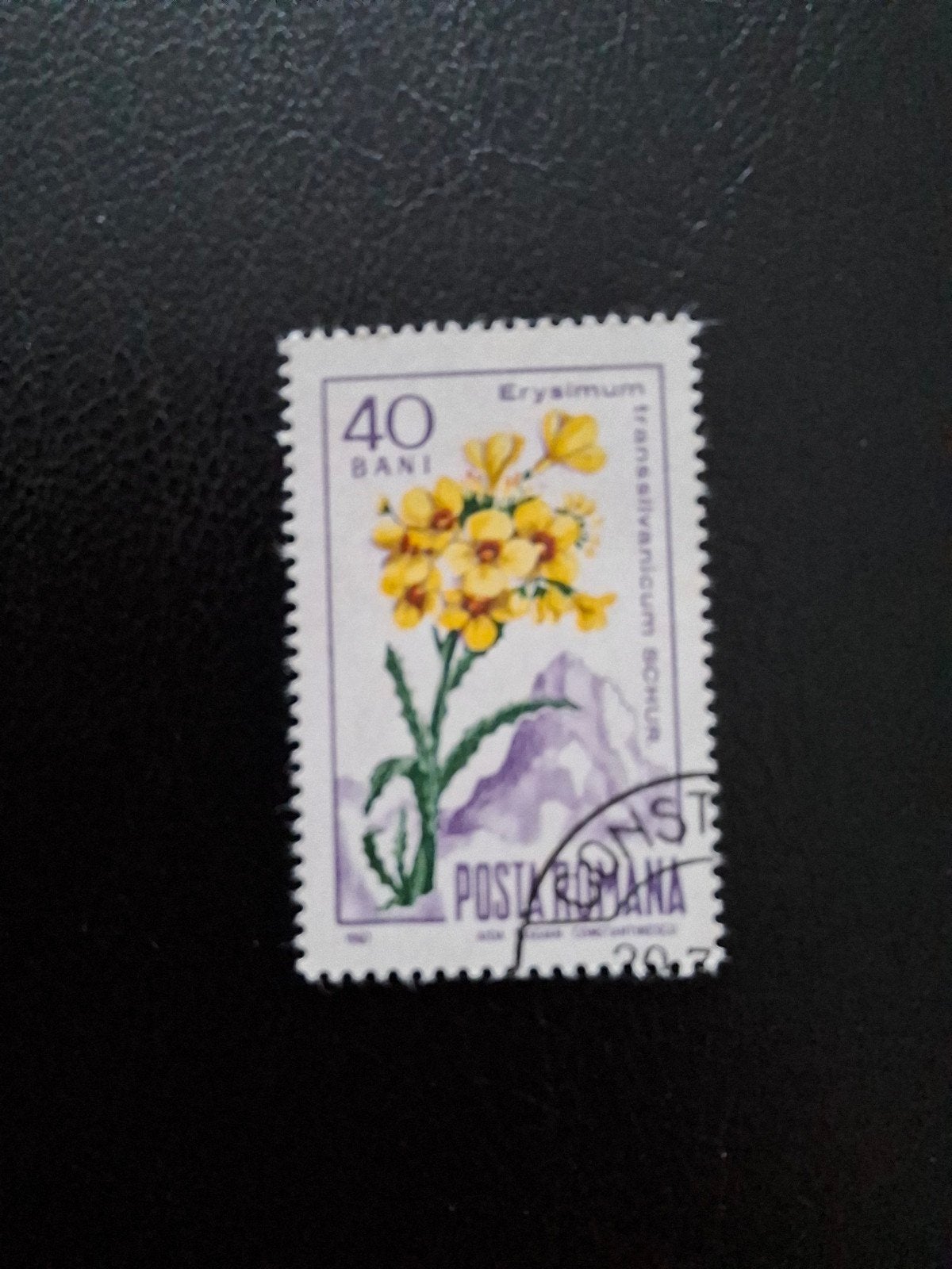 Bloemen.  Roemenië, Ophalen of Verzenden, Dier of Natuur