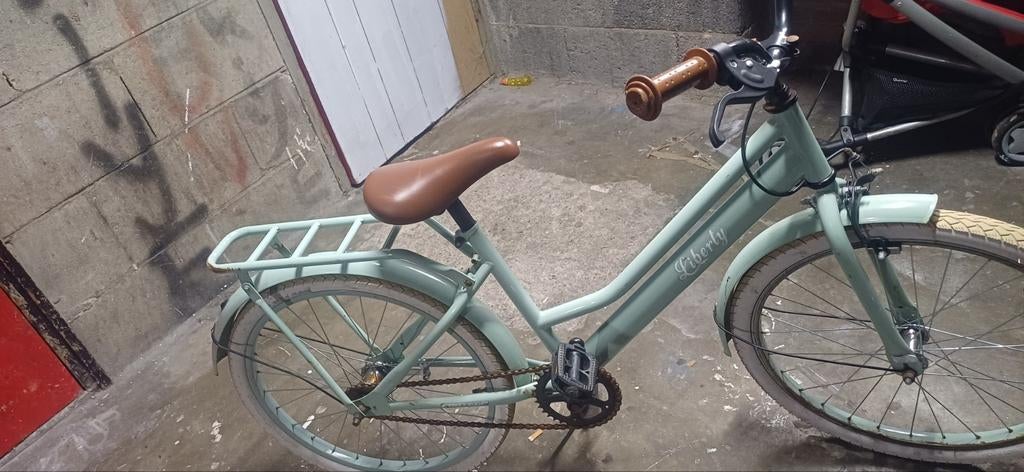 Meisjes fiets 20 inch, Minder dan 47 cm, Ophalen of Verzenden, Gebruikt