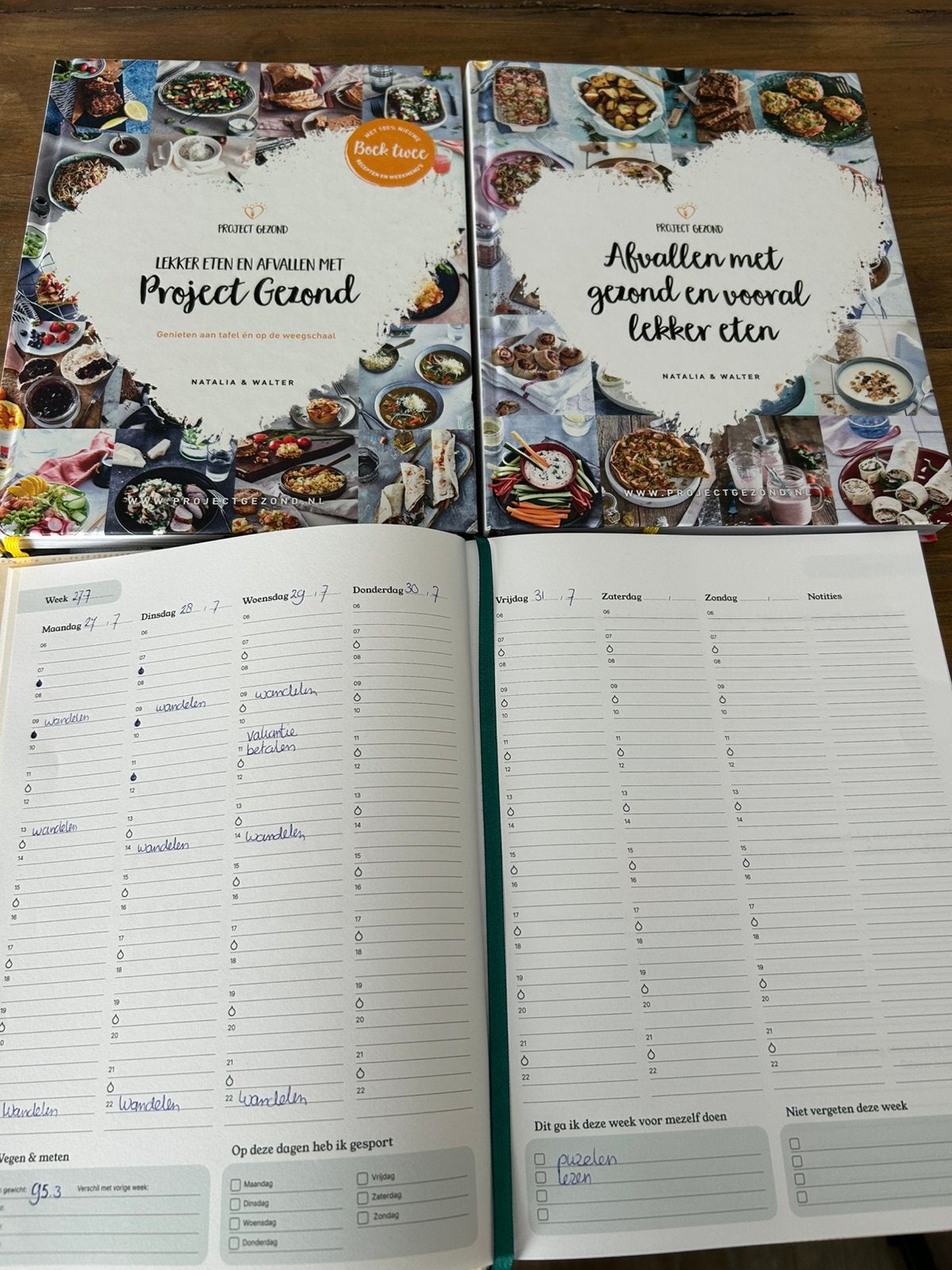 Project gezond, Ophalen of Verzenden, Zo goed als nieuw