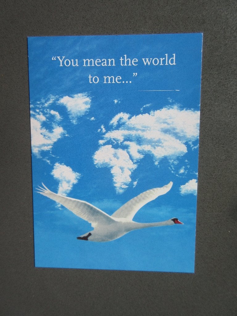 KLM ANSICHTKAART, ZWANEN SERIE, ONGELOPEN, Verzamelen, Luchtvaart en Vliegtuigspotten, Verzenden, Nieuw, Kaart, Foto of Prent