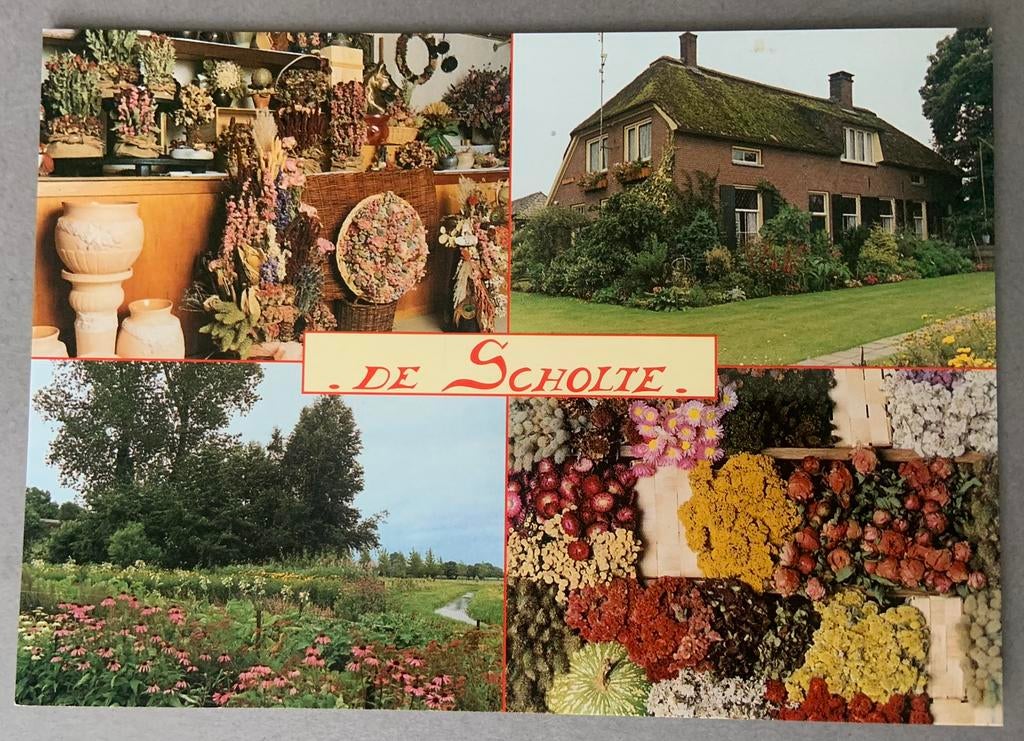 Bloemenboerderij de Scholte” , Geesteren, Ophalen of Verzenden, Ongelopen, Gelderland