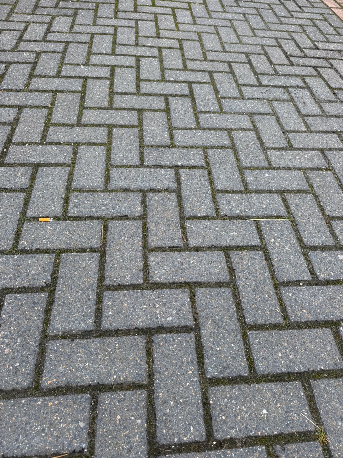Ca. 2.500 m² gebruikte GeoColor betonklinkers, Ophalen of Verzenden, Zo goed als nieuw, Beton, Klinkers