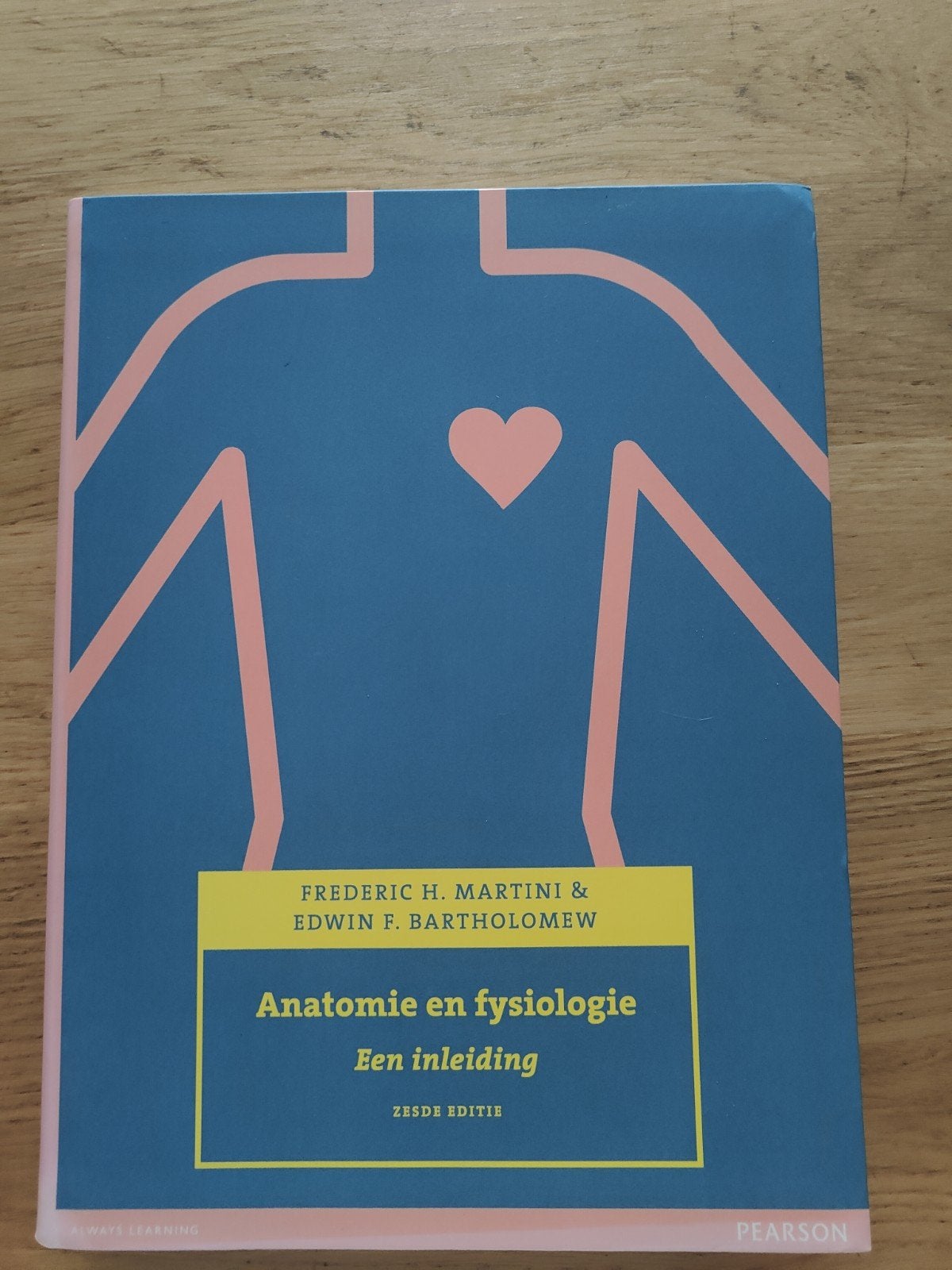 Anatomie en fysiologie, een inleiding - 6e editie, Zo goed als nieuw, Frederic H. Martini & Edwin F. Bartholomew, Beta, HBO