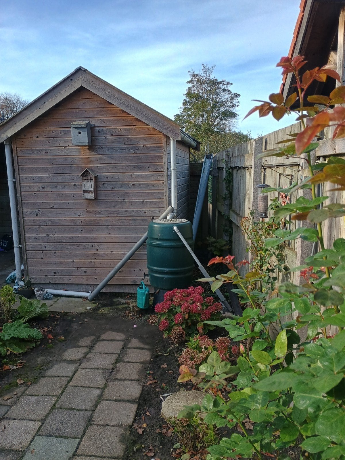 Houten Tuinberging met Regenton, Ophalen, Gebruikt, Hout, Fietsenberging