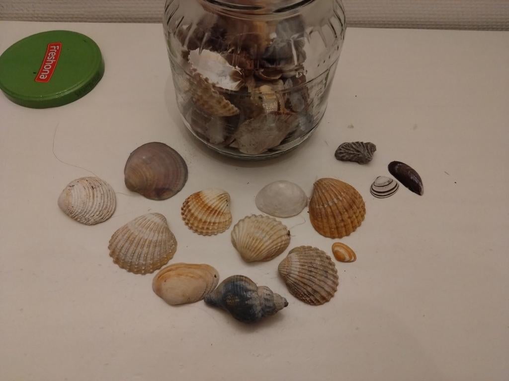 Decoratieve schelpen in glazen pot, Ophalen of Verzenden, Gebruikt