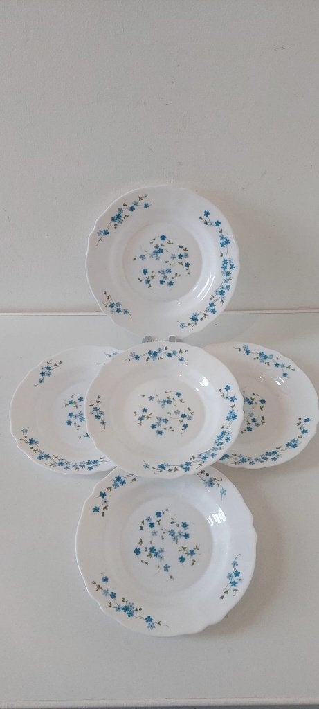 5 Vintage Arcopal Veronica diepe borden vergeet-me-nietjes, Eu, Overige merken, Eu, Vintage