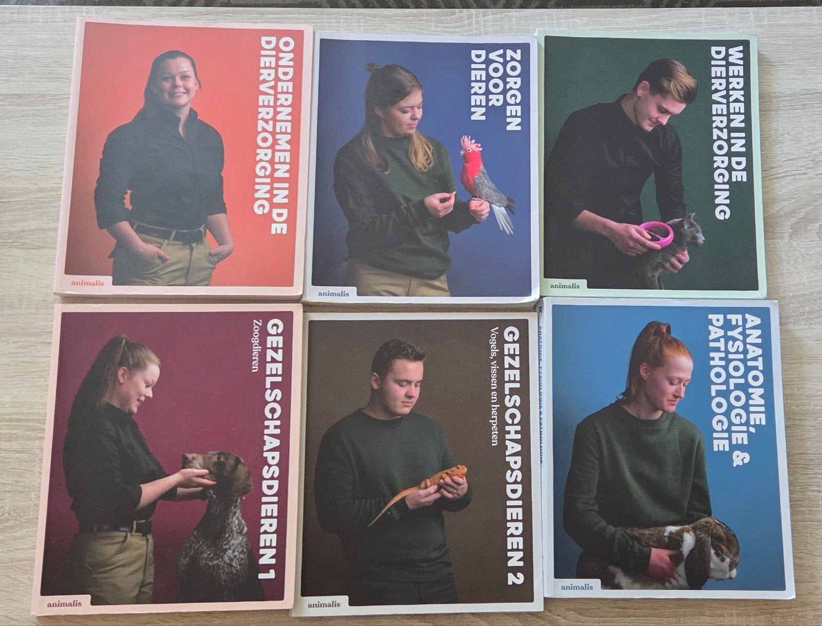 Bedrijfsleider Dierverzorging boeken, Ophalen of Verzenden, Gelezen, Overige niveaus