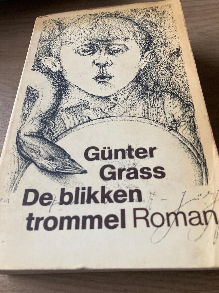 Boek Gunter Grass, Ophalen of Verzenden, Gelezen
