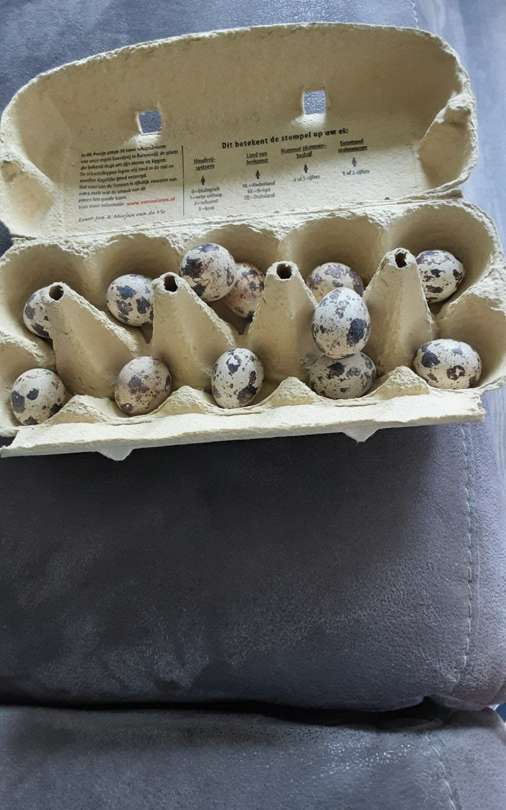 Japanse kwartel eieren 12 stuks, Ophalen of Verzenden, Overige typen