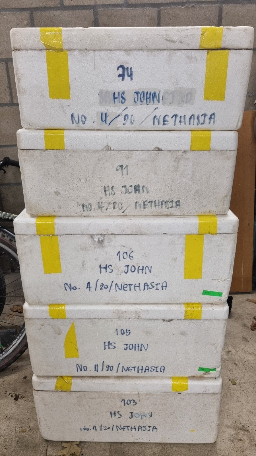 5 tempex boxen/piepschuim dozen, Doe-het-zelf en Verbouw, Ophalen, 40 tot 60 cm, 50 tot 75 cm, Minder dan 35 cm