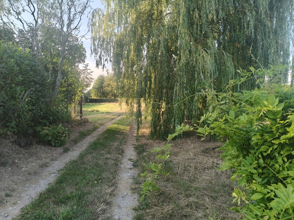 Weidegang (met schuilstal), en/of met stalling te huur!, Dieren en Toebehoren, Opfok, 4 paarden of pony's of meer