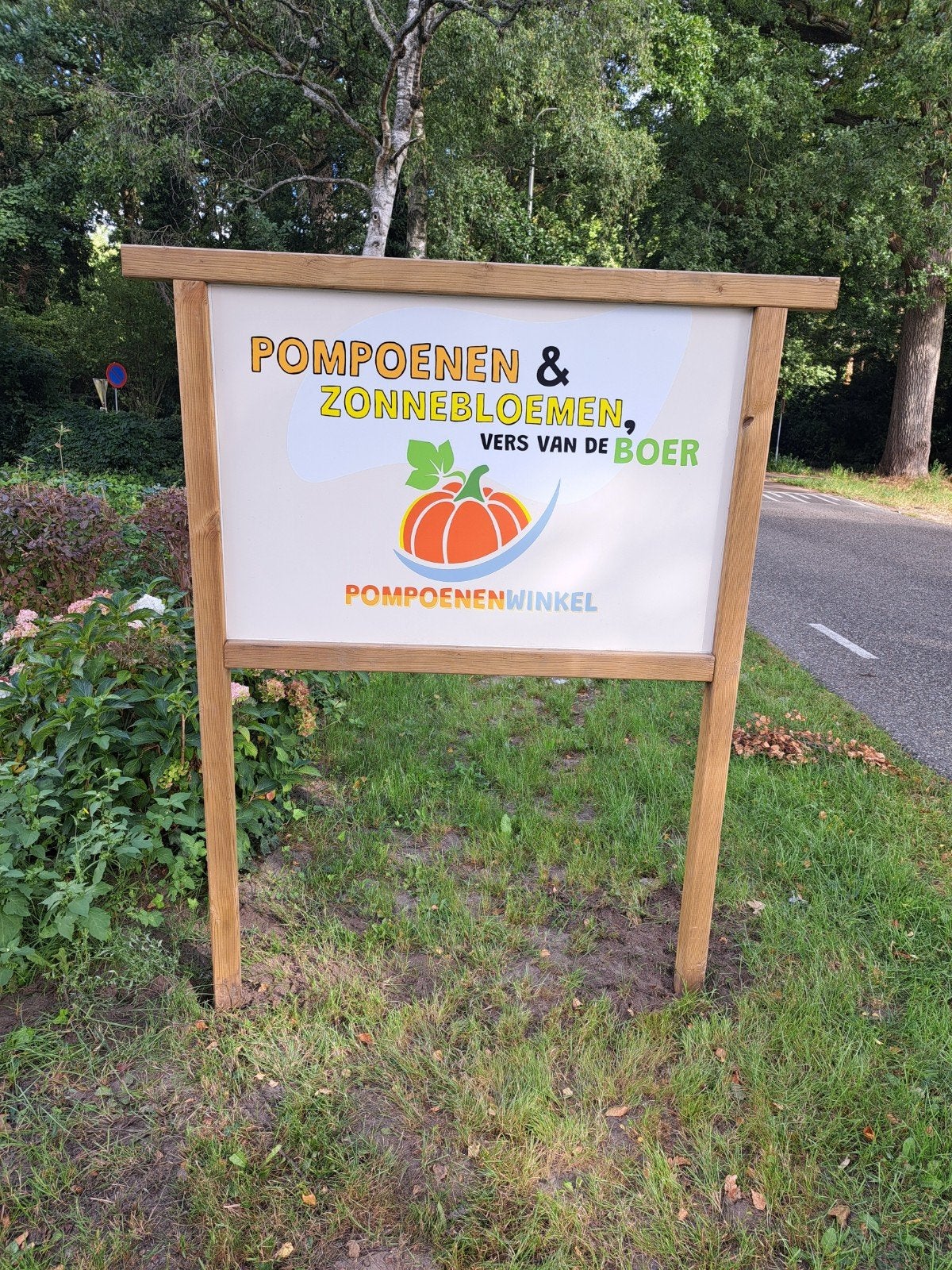 POMPOENEN, EET- en SIERPOMPOENEN, HONING, Tuin en Terras, Ophalen, Nieuw