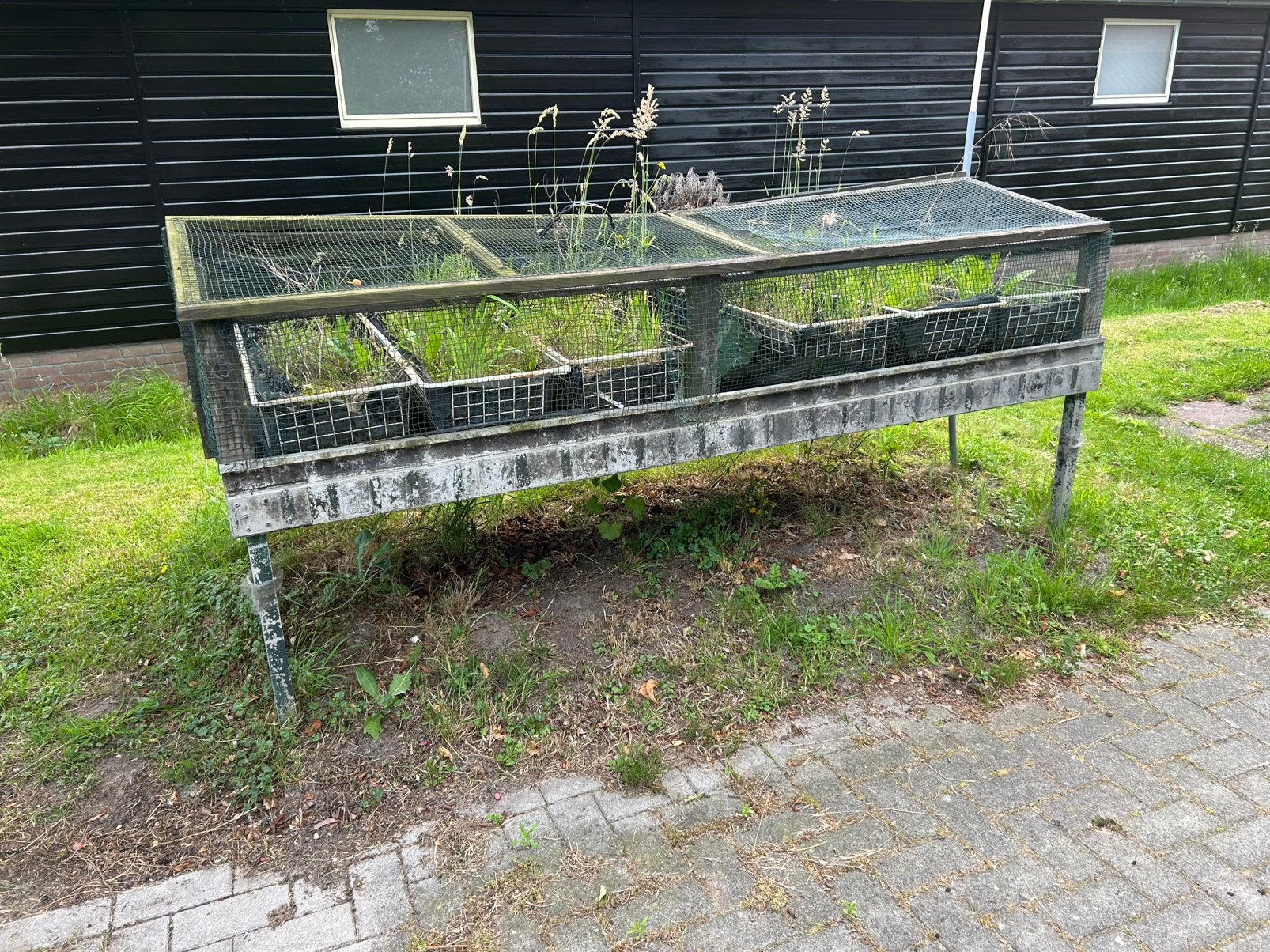Gratis verhoogde moestuinbak, Tuin en Terras, Kweekspullen, Ophalen, Gebruikt, Kweekbak