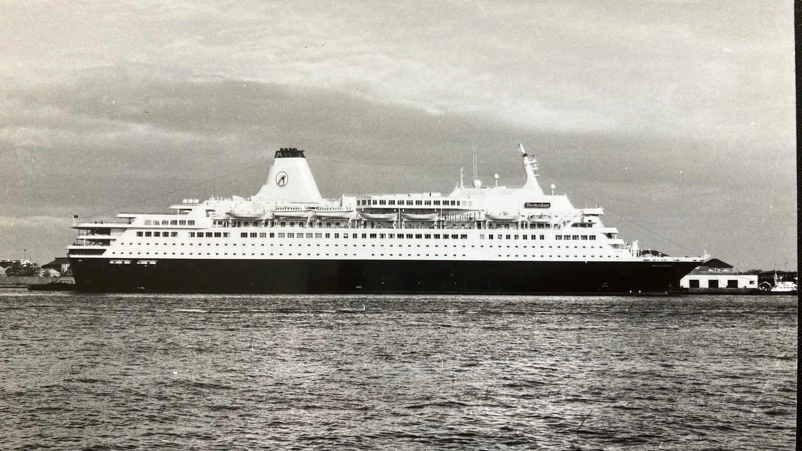 WESTERDAM  ("86) ex Homeric  HAL '88-02 foto d.d.  okt 89, Ophalen of Verzenden, Zo goed als nieuw