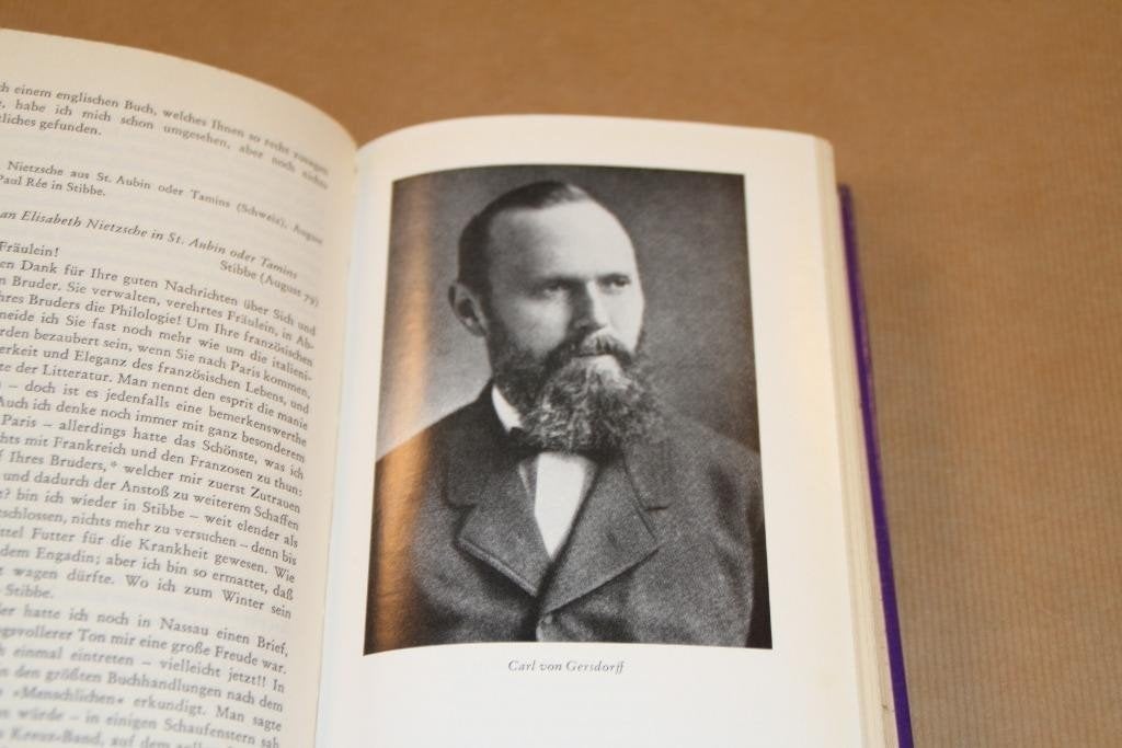 Friedrich Nietzsche Paul Rée Lou von Salome, Ophalen of Verzenden, Gelezen