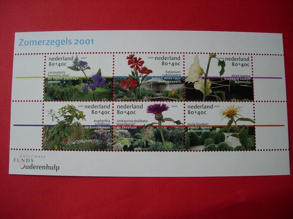 NL Nederland blok Zomerzegels "tuinen" 2001, Verzenden, Na 1940, Postfris