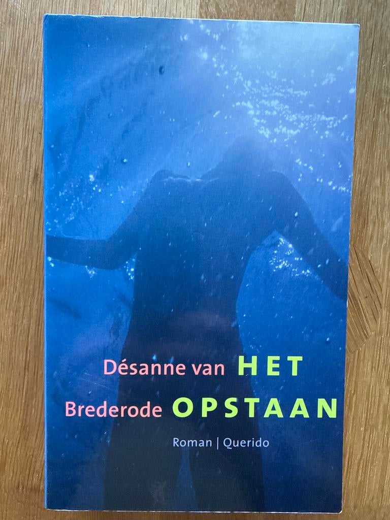 Het Opstaan - Désanne van Brederode (Roman), Ophalen of Verzenden, Gelezen, Nederland