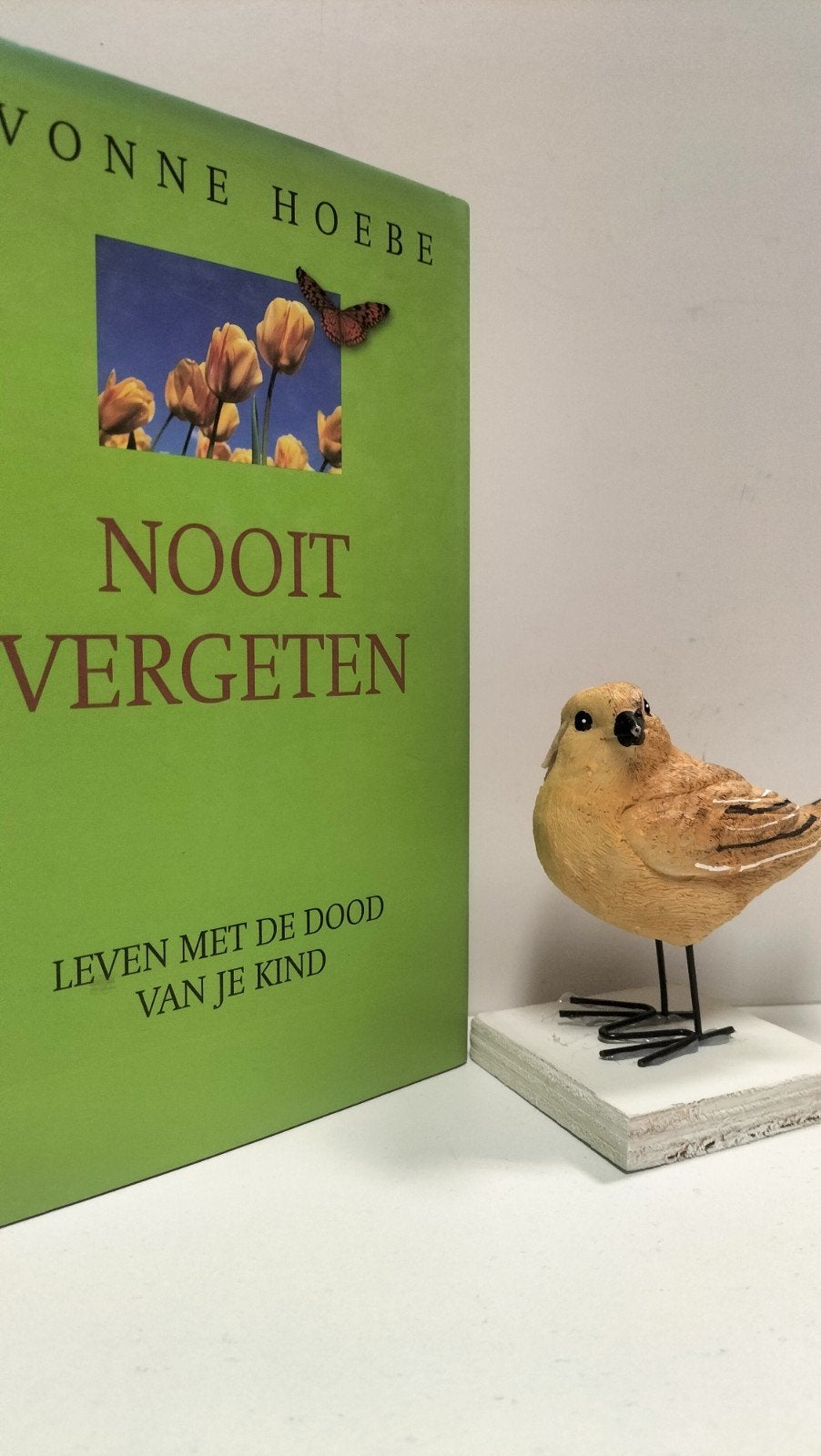 Hoebe, Yvonne; Nooit vergeten, Ophalen of Verzenden, Gelezen, Overige onderwerpen
